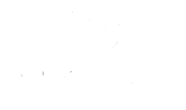 Agua Verde Pet Store